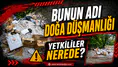 Bunun adı doğa düşmanlığı... Yetkililer nerede?
