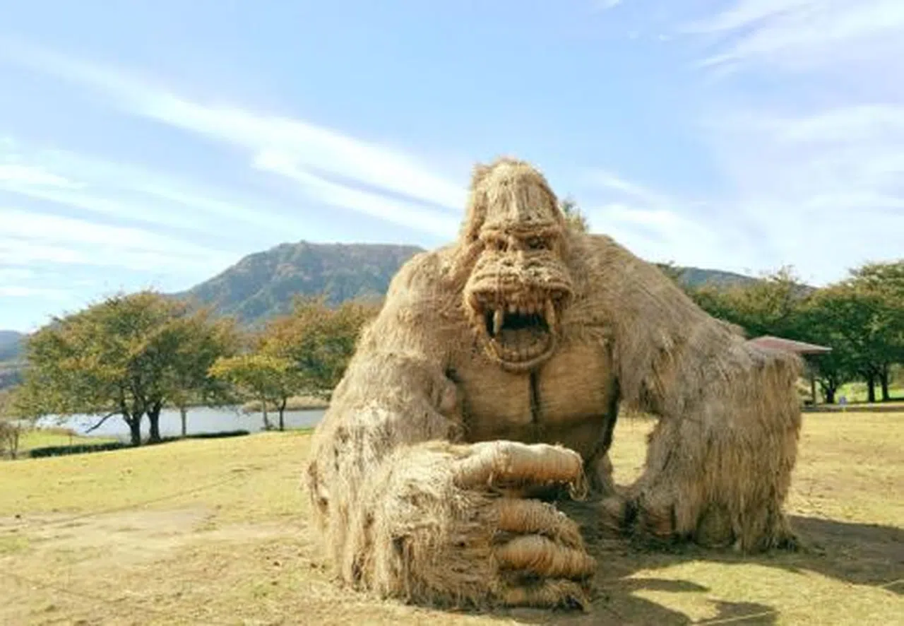 Geleceğin Yeni Kaynağı: Pirinç Samanından Elektrik Üretimi!
