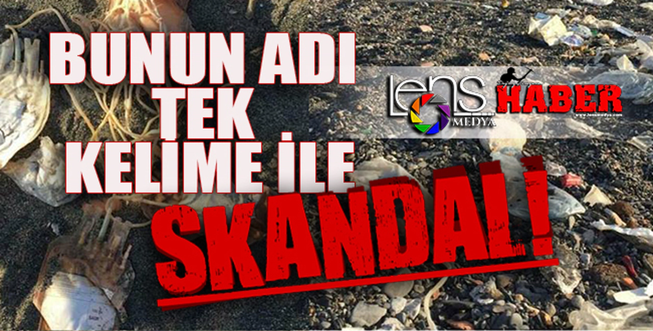 Bunun adı tek kelime ile Skandal...