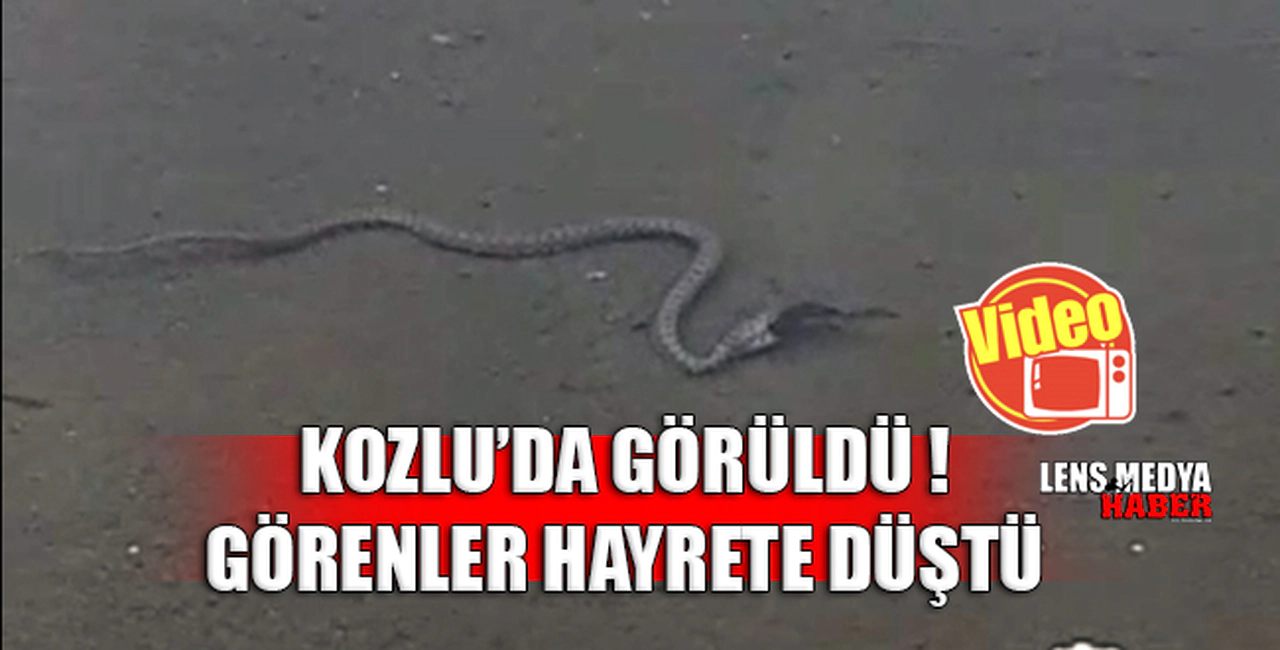 KOZLU'DA GÖRÜLDÜ!