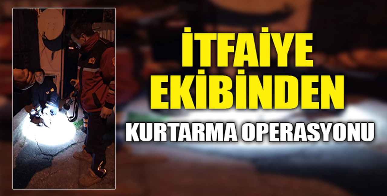 İTFAİYE EKİBİNDEN KURTARMA OPERASYONU