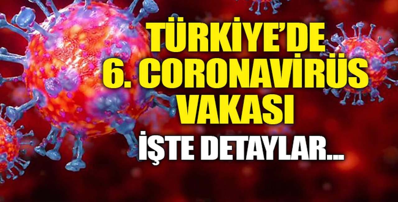 TÜRKİYE'DE 6. KİŞİDE DE CORONAVİRÜS TESPİT EDİLDİ