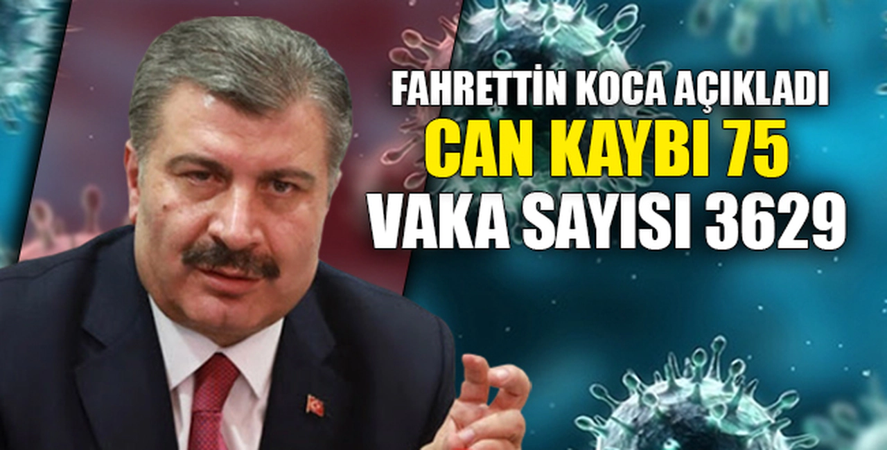 CAN KAYBI 75 VAKA SAYISI 3629