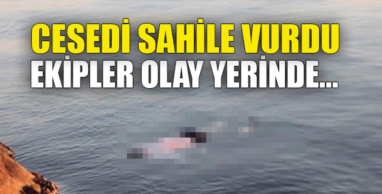 CESEDİ SAHİLE VURDU