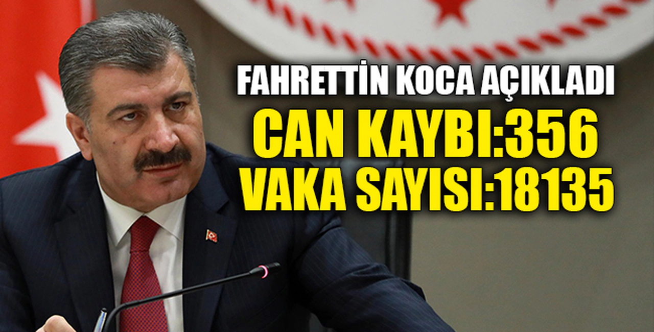 CAN KAYBI 356, VAKA SAYISI 18.135