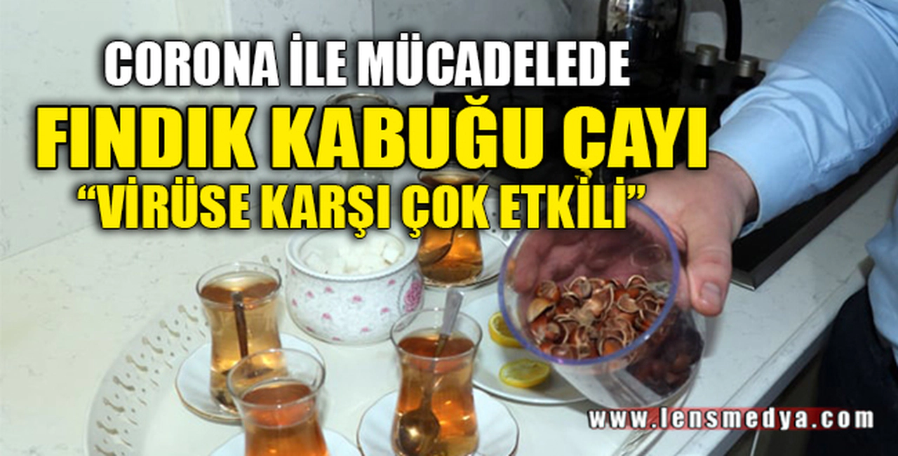 VİRÜSE KARŞI FINDIK KABUĞU ÇAYI
