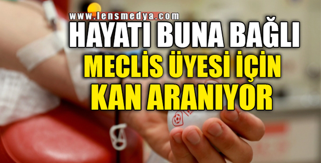 MECLİS ÜYESİ İÇİN KAN ARANIYOR