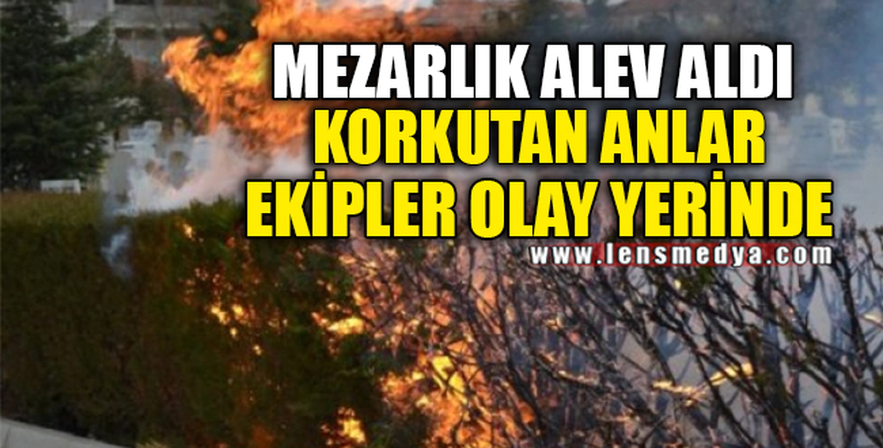 MEZARLIKTA YANGIN!