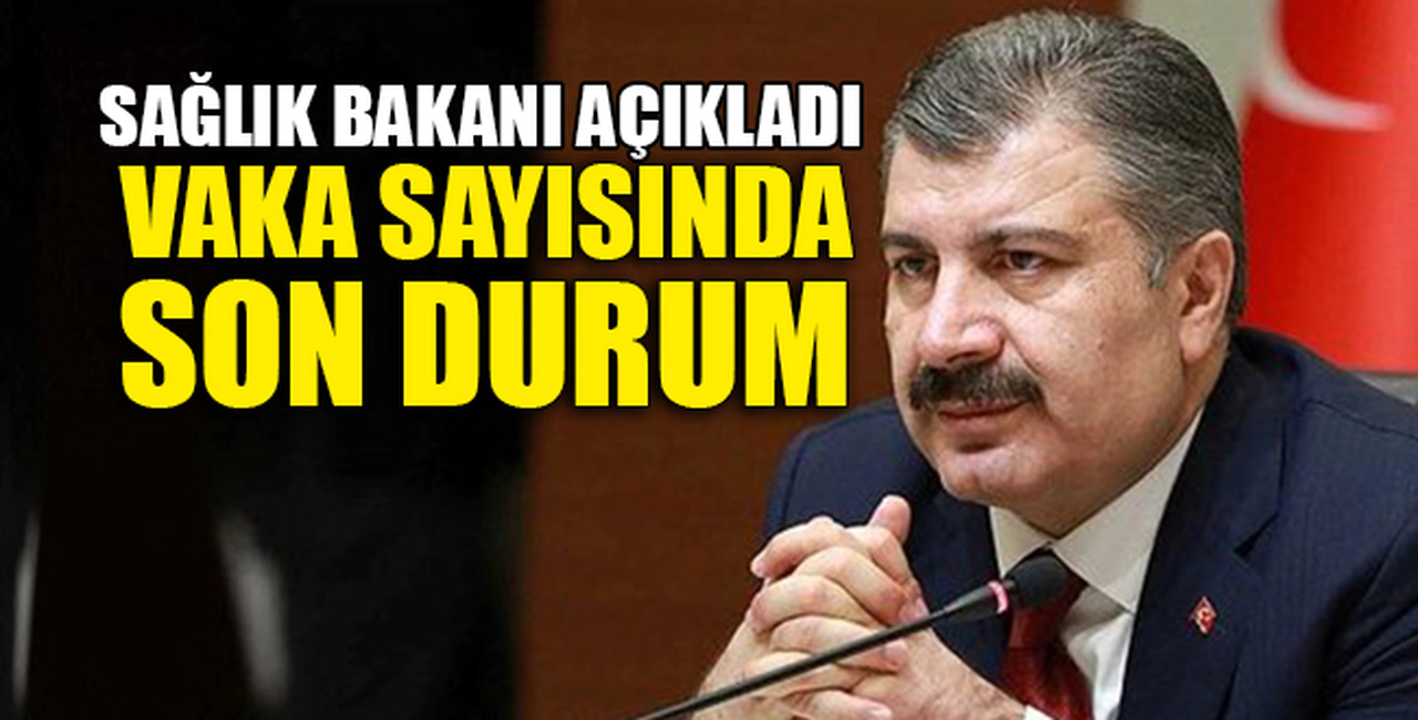 VAKA SAYISINDA SON DURUM