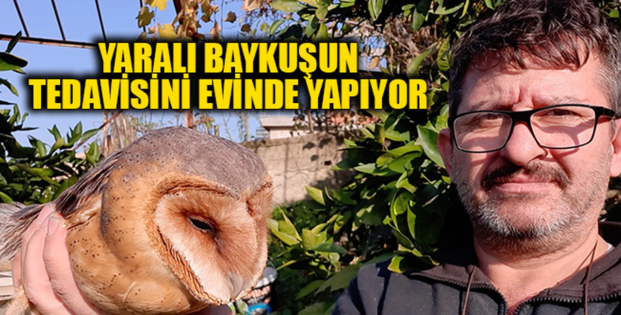 YARALI BAYKUŞUN TEDAVİSİNİ EVİNDE YAPIYOR
