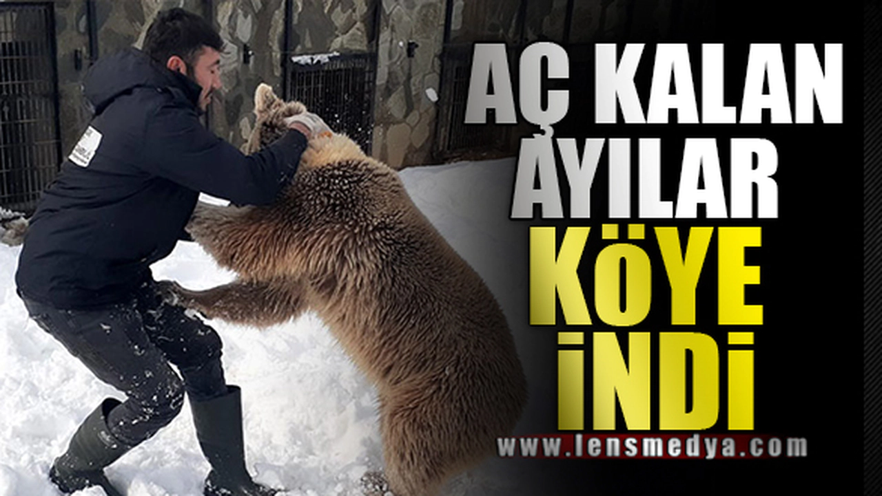 AYILAR KÖYE İNDİ KOVANLAR TELEF OLDU