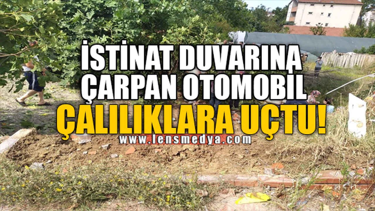 İSTİNAT DUVARINA ÇARPAN OTOMOBİL ÇALILIKLARA UÇTU!