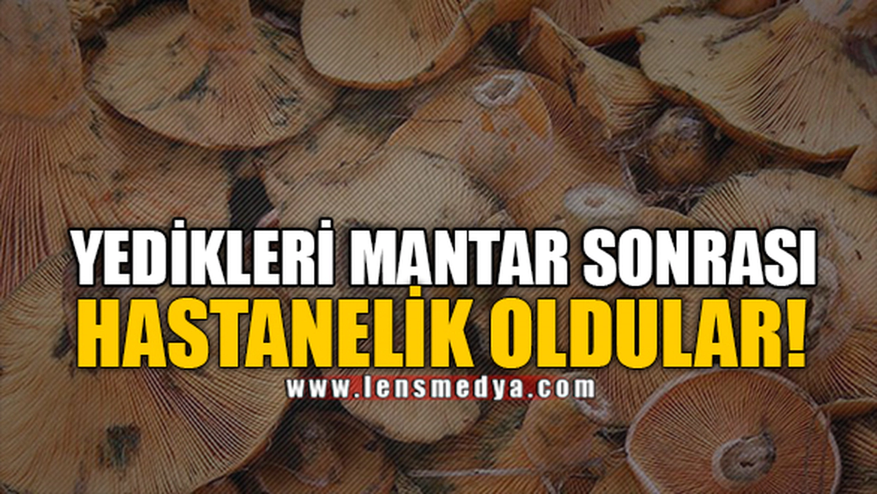 YEDİKLERİ MANTAR SONRASI HASTANELİK OLDULAR!