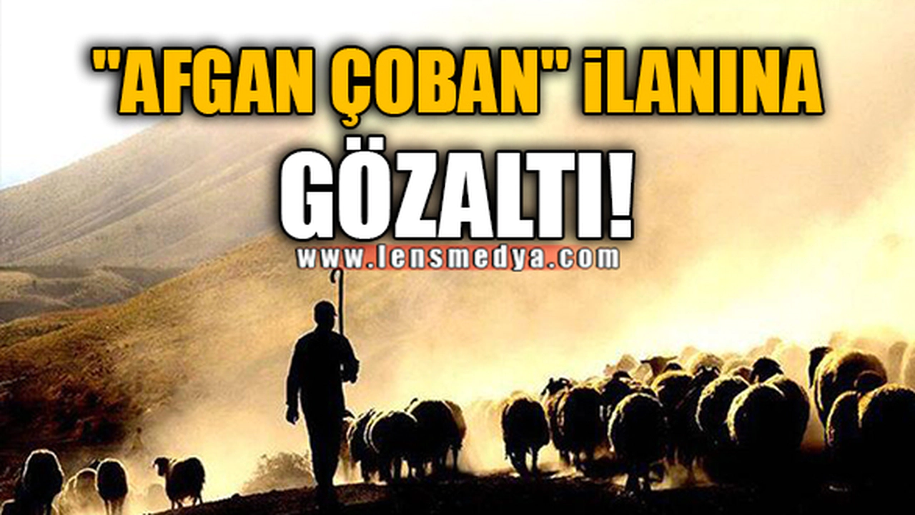 "AFGAN ÇOBAN" İLANINA GÖZALTI!