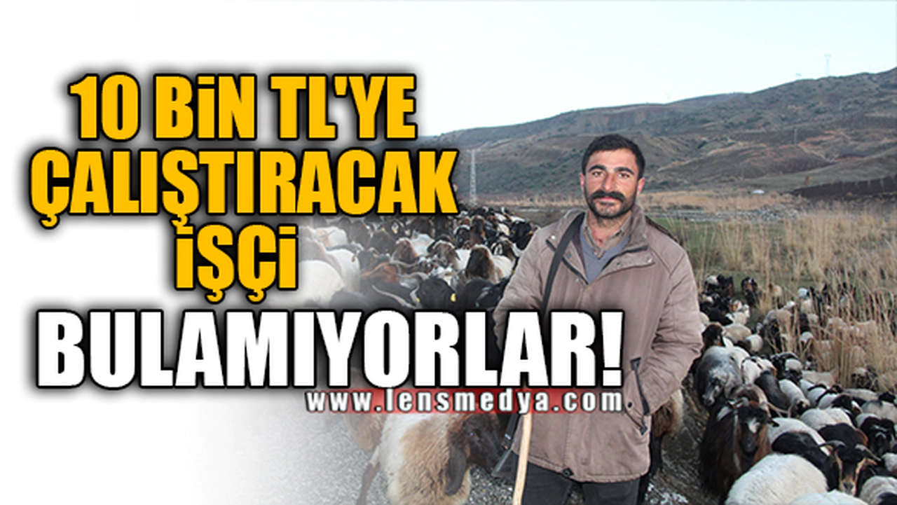 10 BİN TL'YE ÇALIŞTIRACAK İŞÇİ BULAMIYORLAR!