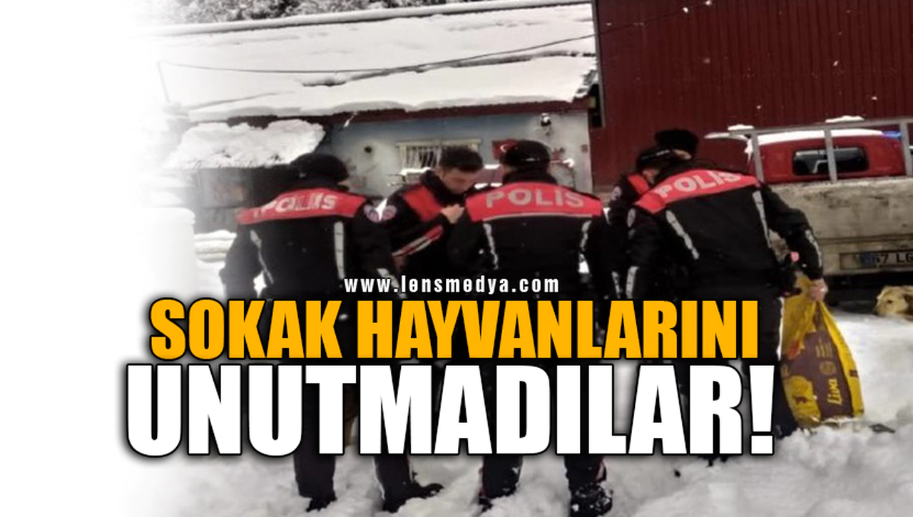 SOKAK HAYVANLARINI UNUTMADILAR!