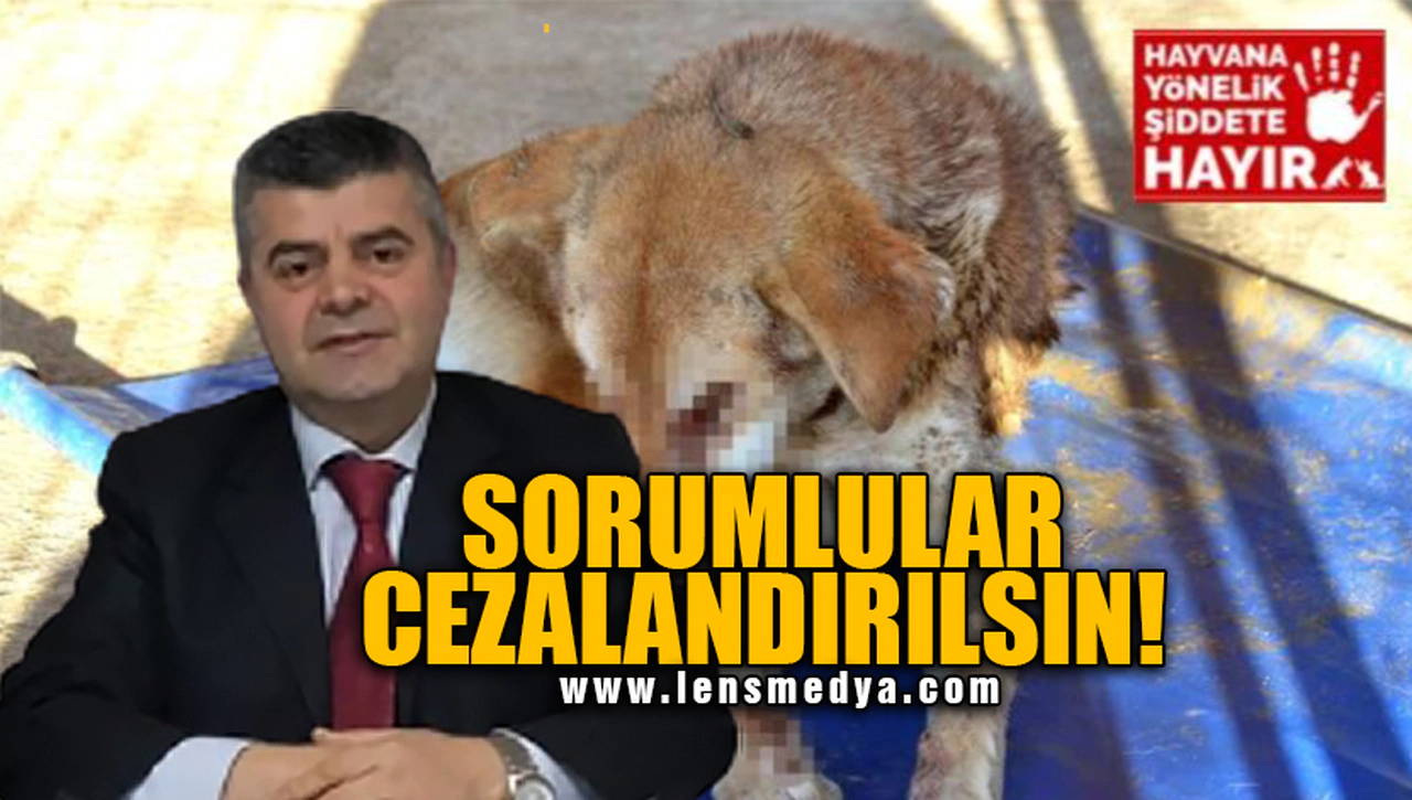 SORUMLULAR CEZALANDIRILSIN!