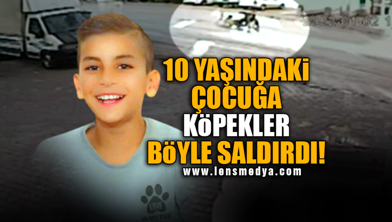 ÇETE GİBİLER! 10 YAŞINDAKİ ÇOCUĞU ADETA PARÇALADILAR!