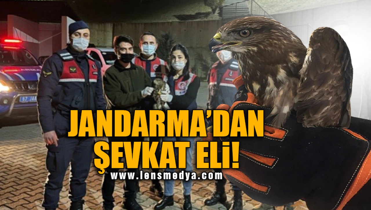 JANDARMA'DAN ŞEVKAT ELİ...