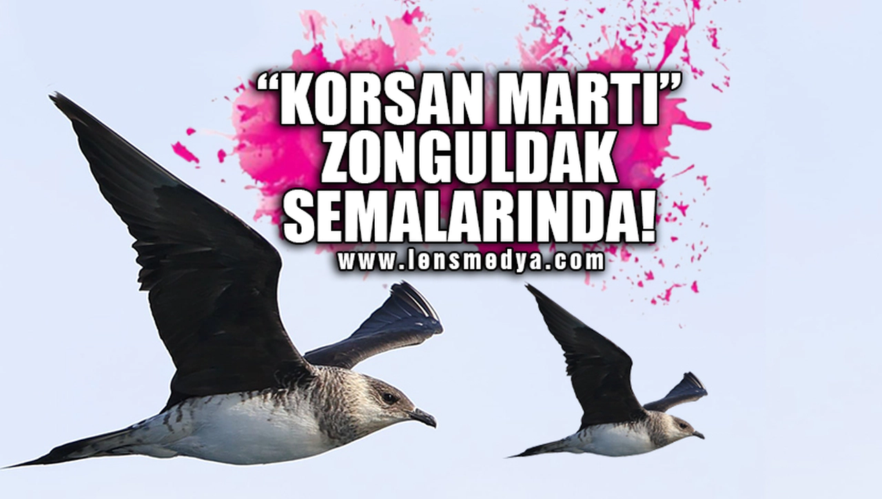 "KORSAN MARTI" ZONGULDAK SEMALARINDA GÖRÜLDÜ!