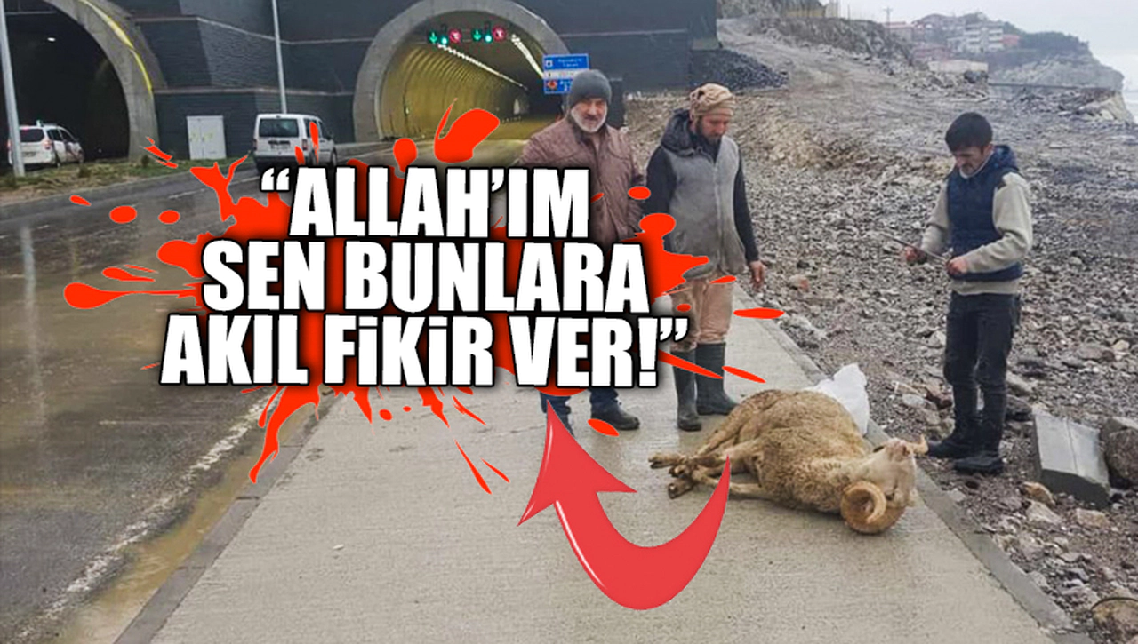 "ALLAH'IM SEN BUNLARA AKIL FİKİR VER"