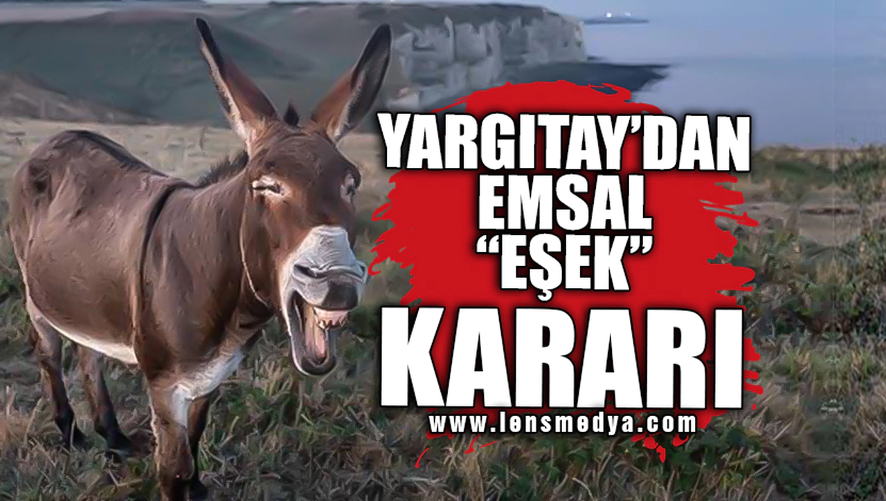 YARGITAY SON NOKTAYI KOYDU! EMSAL "EŞEK" KARARI!