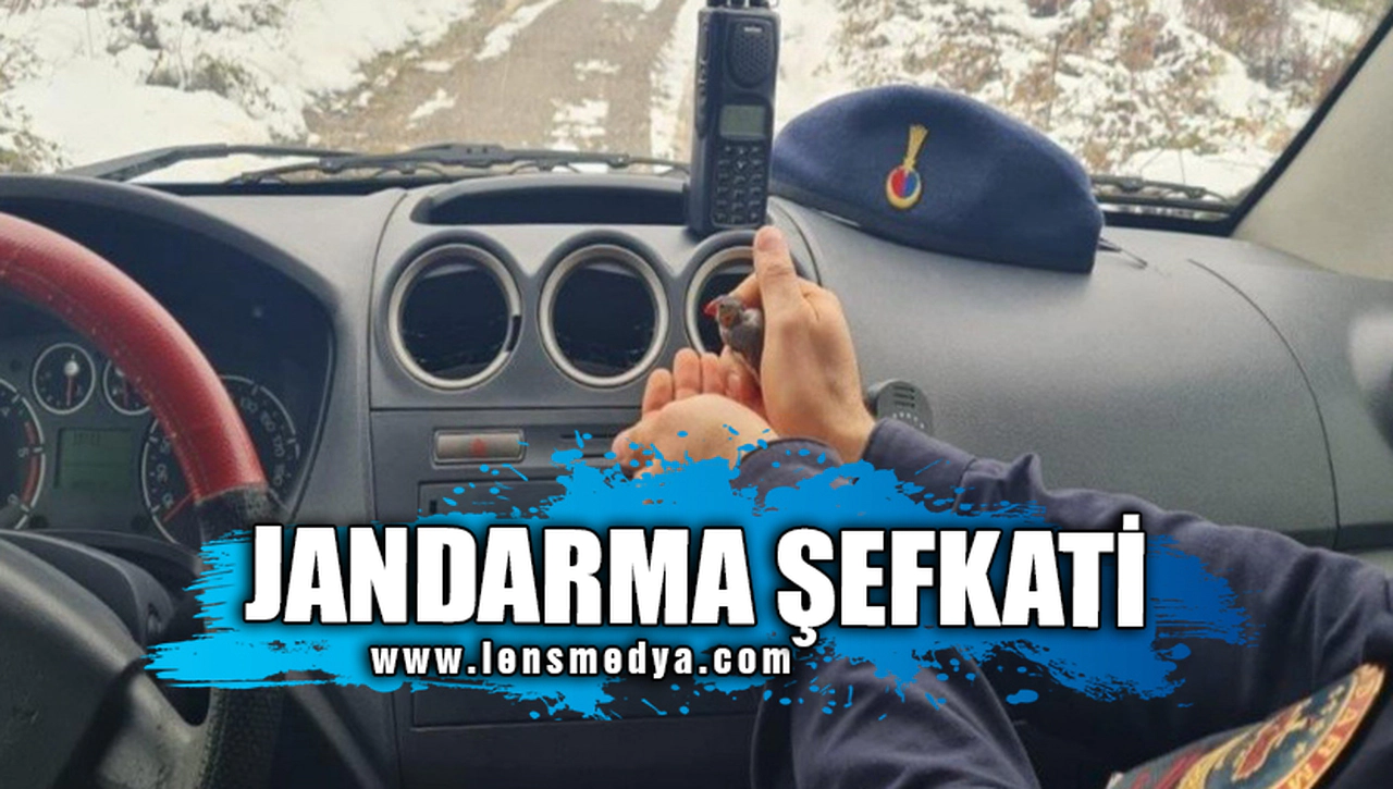 JANDARMA ŞEFKATİ!