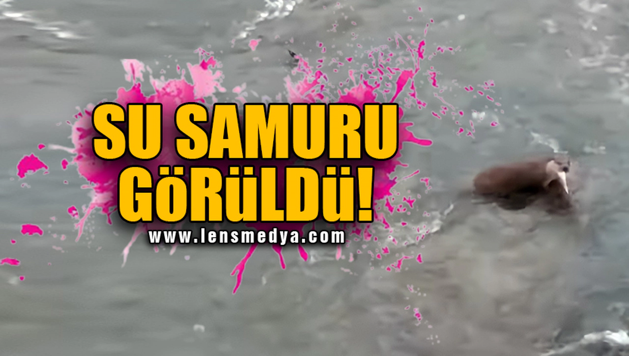SU SAMURU GÖRÜLDÜ!
