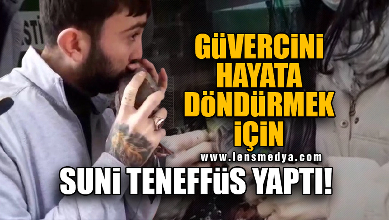 GÜVERCİNİ HAYATA DÖNDÜRMEK İÇİN SUNİ TENEFFÜS YAPTI!