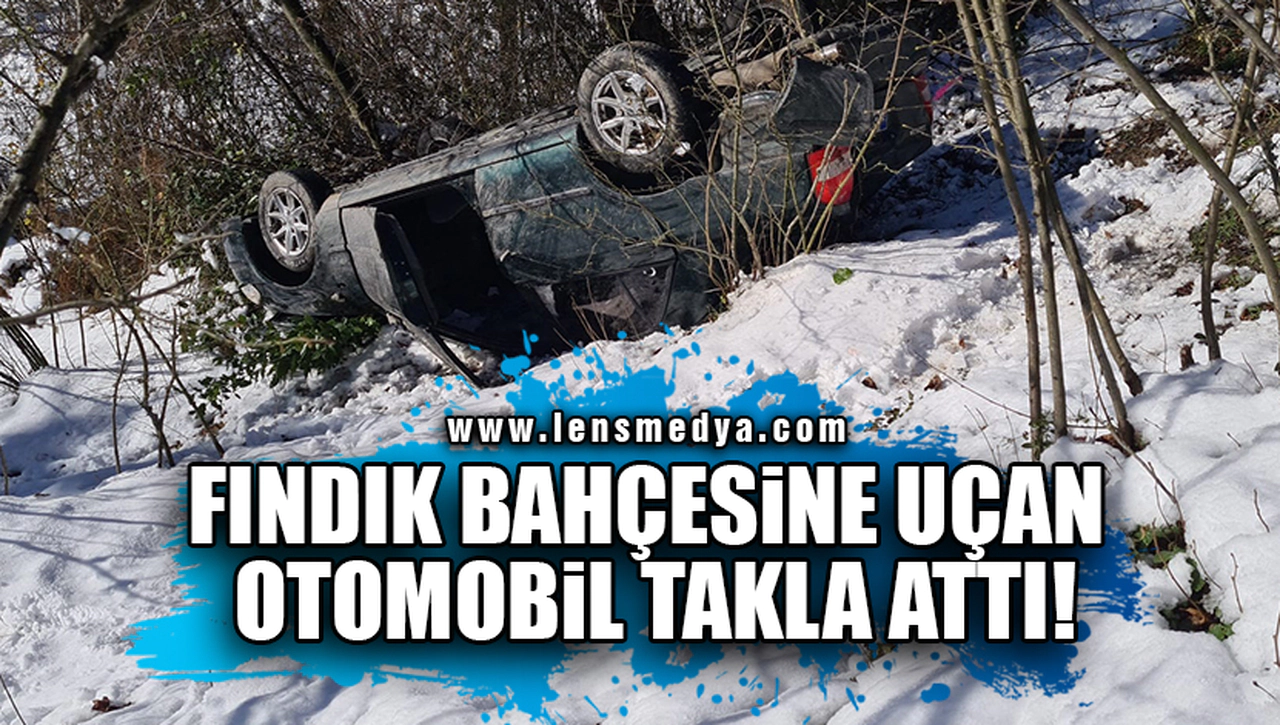 FINDIK BAHÇESİNE UÇAN OTOMOBİL TAKLA ATTI!