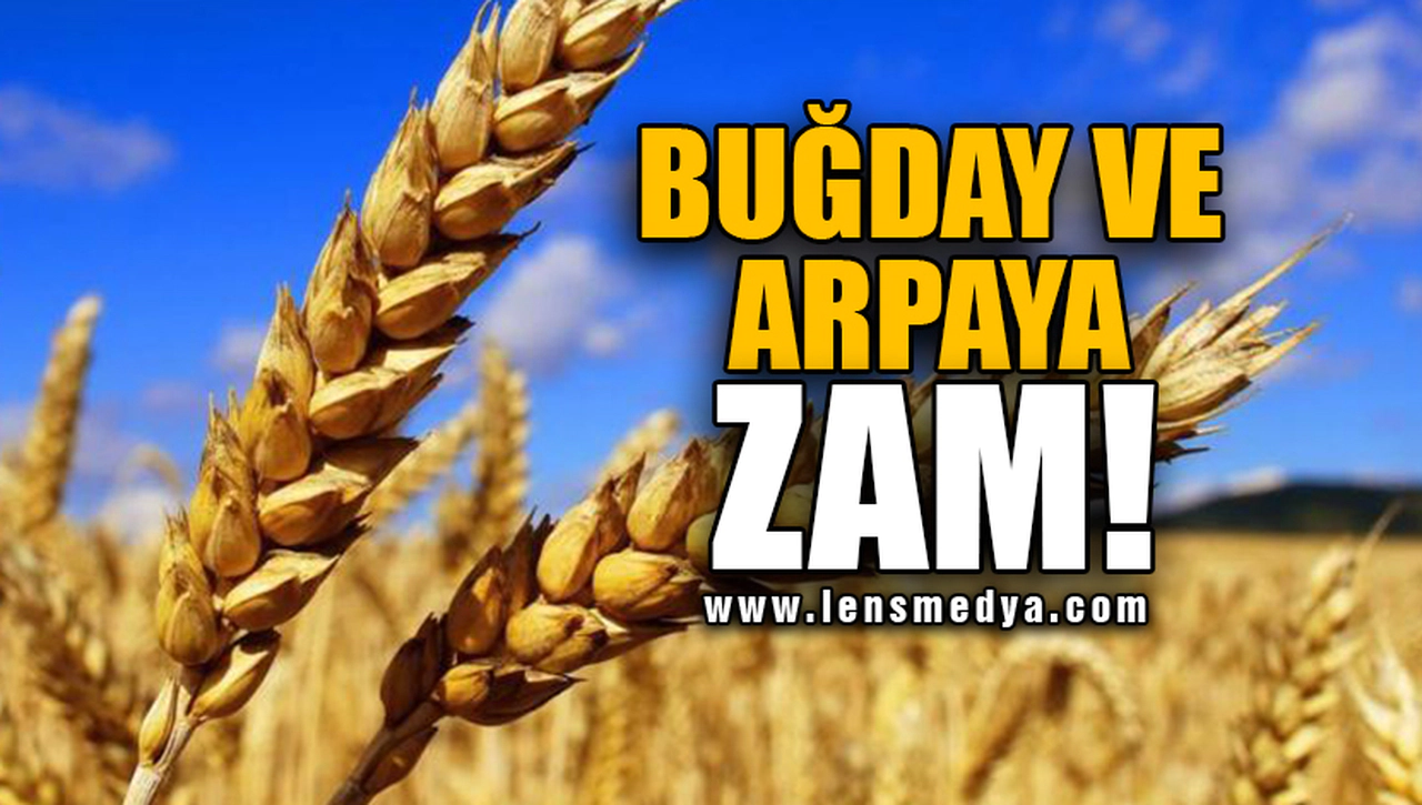 BUĞDAY VE ARPAYA ZAM!