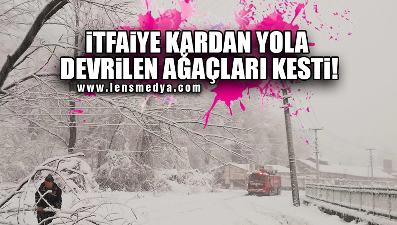 İTFAİYE KARDAN YOLA DEVRİLEN AĞAÇLARI KESTİ!