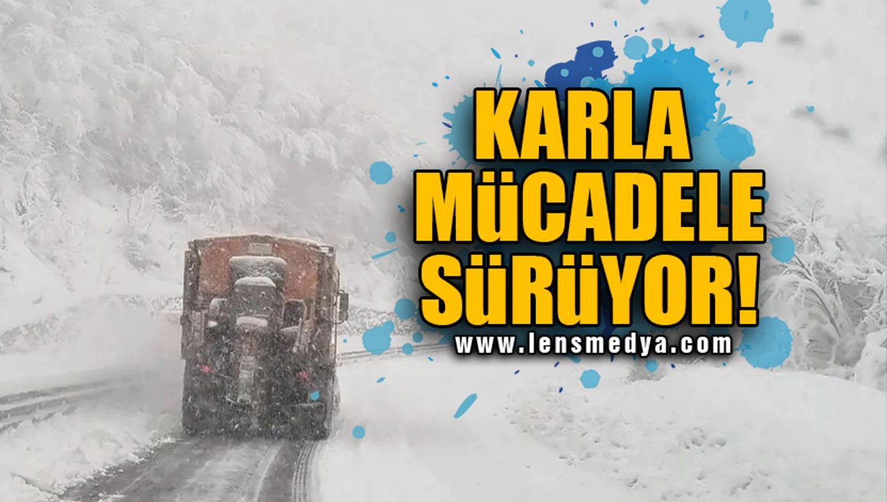 KARLA MÜCADELE SÜRÜYOR!