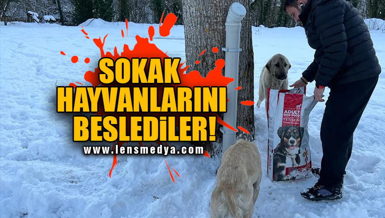 SOKAK HAYVANLARINI BESLEDİLER!
