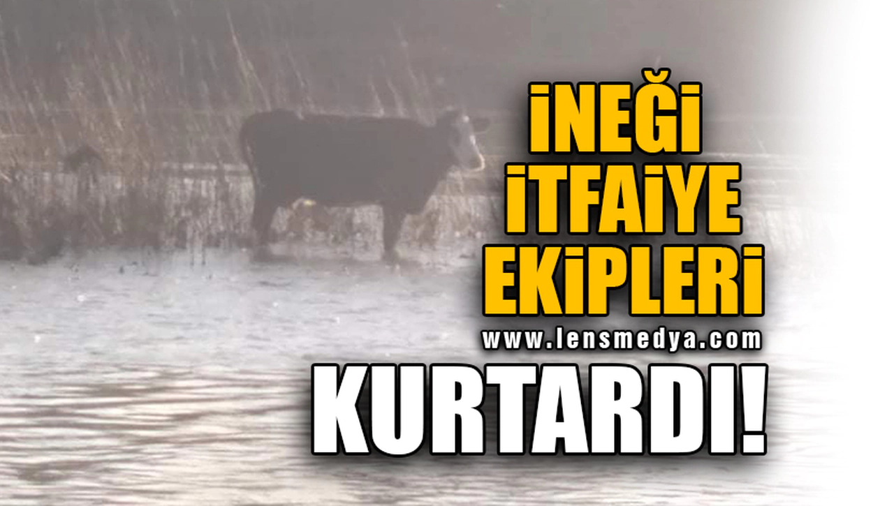 İNEĞİ İTFAİYE EKİPLERİ KURTARDI!