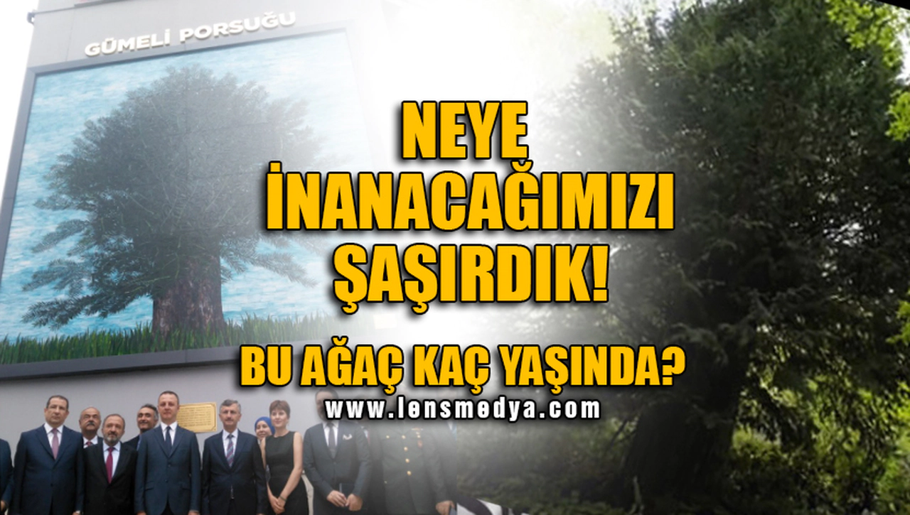 NEYE İNANACAĞIMIZI ŞAŞIRDIK!