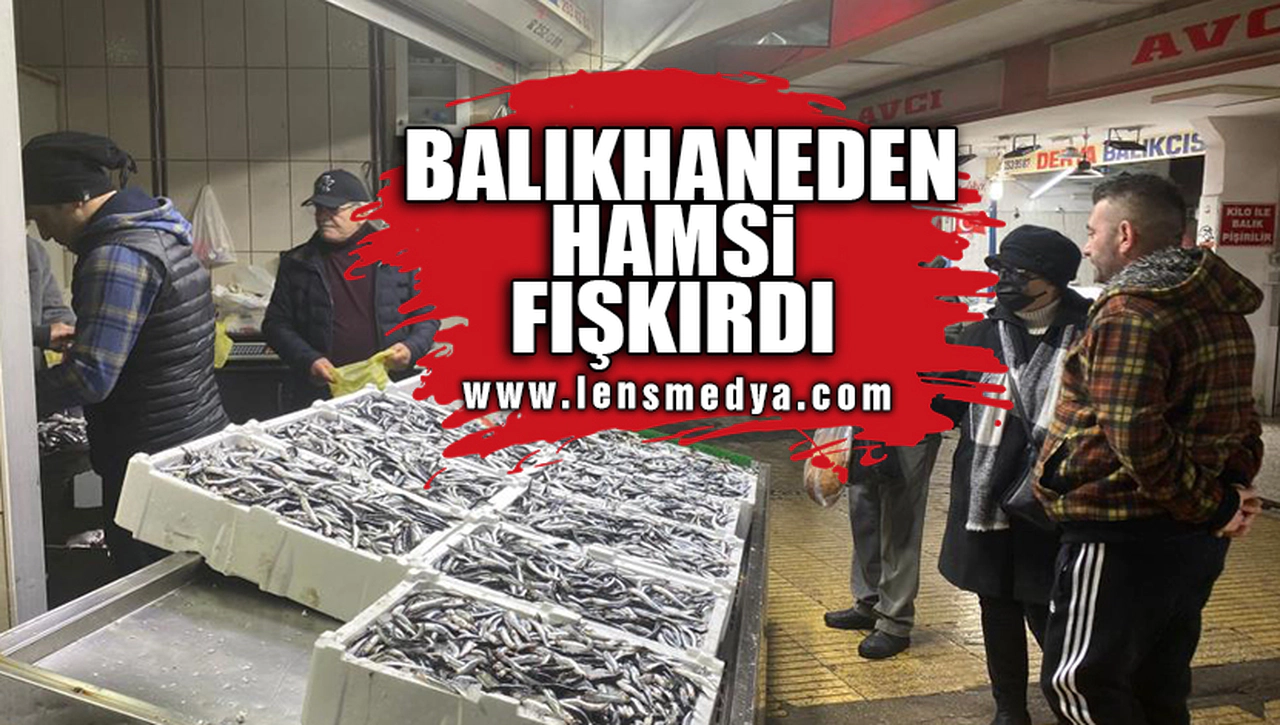 BALIKHANEDEN HAMSİ FIŞKIRDI!