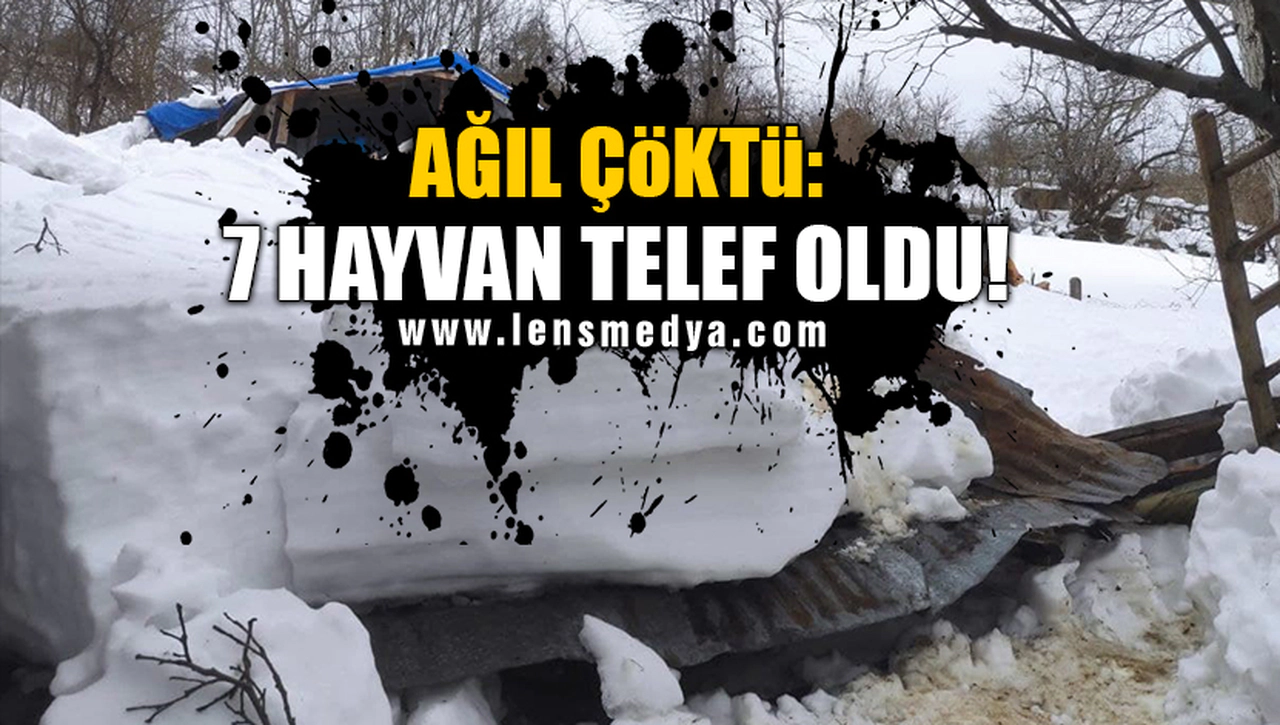 AĞIL ÇÖKTÜ: 7 HAYVAN TELEF OLDU!