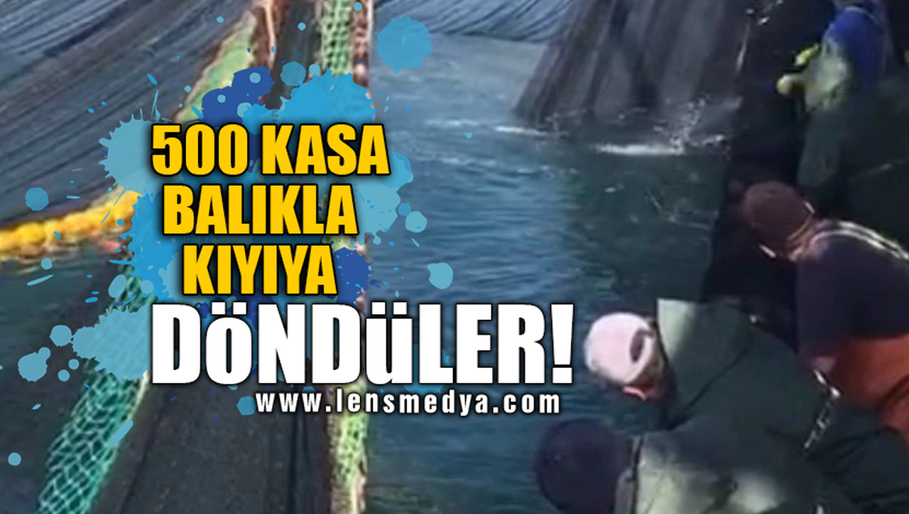 500 KASA BALIKLA KIYIYA DÖNDÜLER!