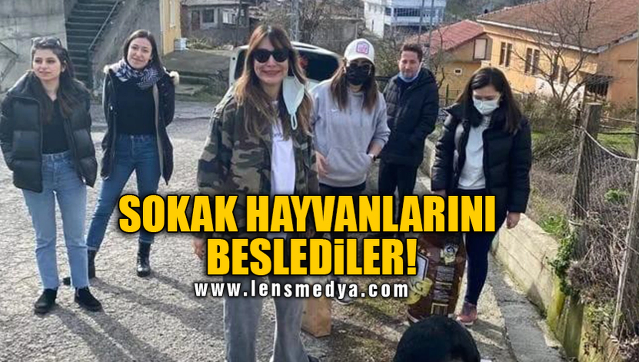 SOKAK HAYVANLARINI BESLEDİLER!
