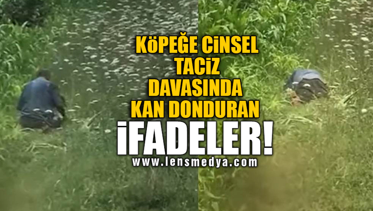 KÖPEĞE CİNSEL TACİZ DAVASINDA KAN DONDURAN İFADELER!