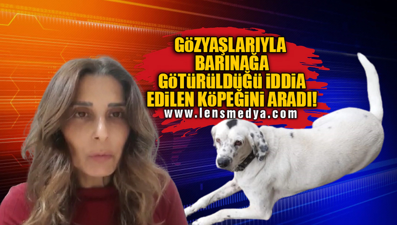GÖZYAŞLARIYLA BARINAĞA GÖTÜRÜLDÜĞÜ İDDİA EDİLEN KÖPEĞİNİ ARADI!