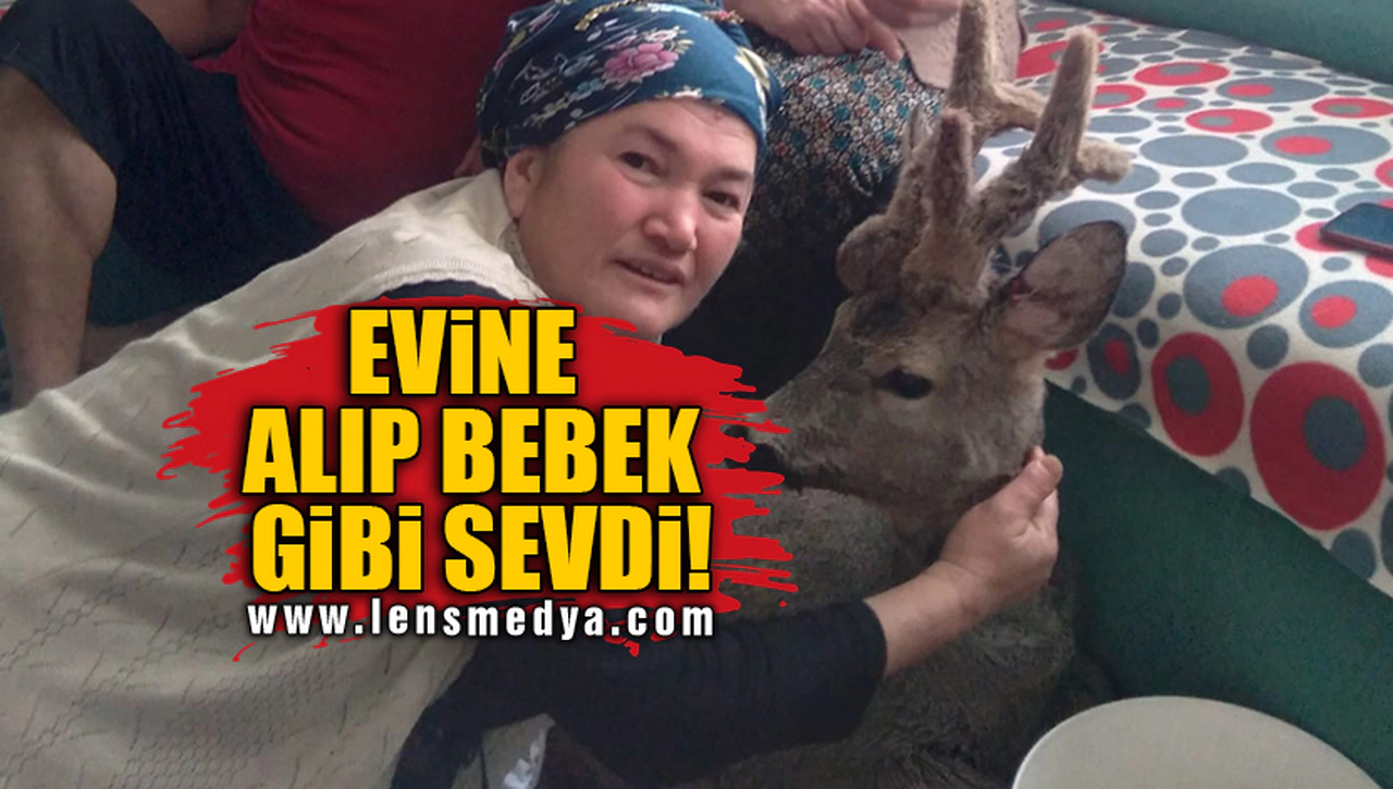 EVİNE ALIP BEBEK GİBİ SEVDİ!
