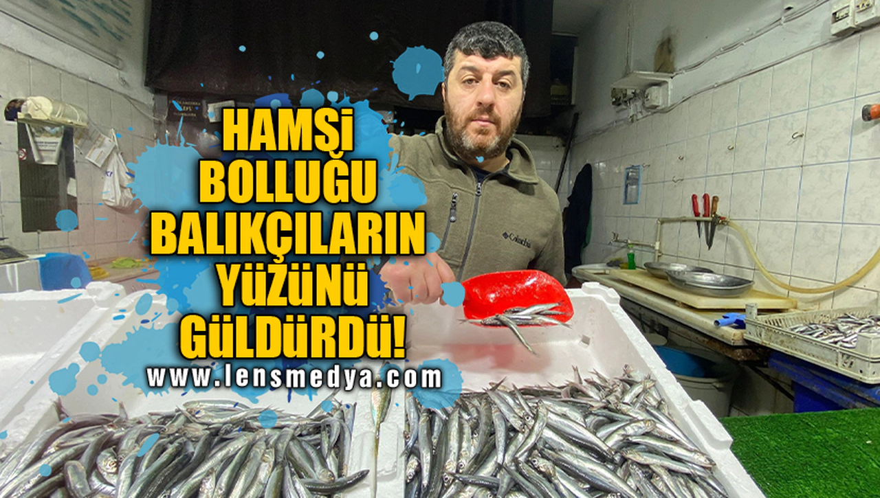 HAMSİ BOLLUĞU BALIKÇILARIN YÜZÜNÜ GÜLDÜRDÜ!