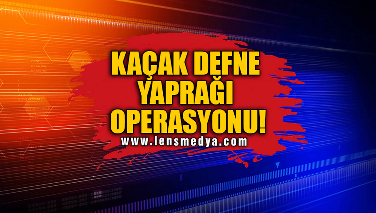 KAÇAK DEFNE YAPRAĞI OPERASYONU!