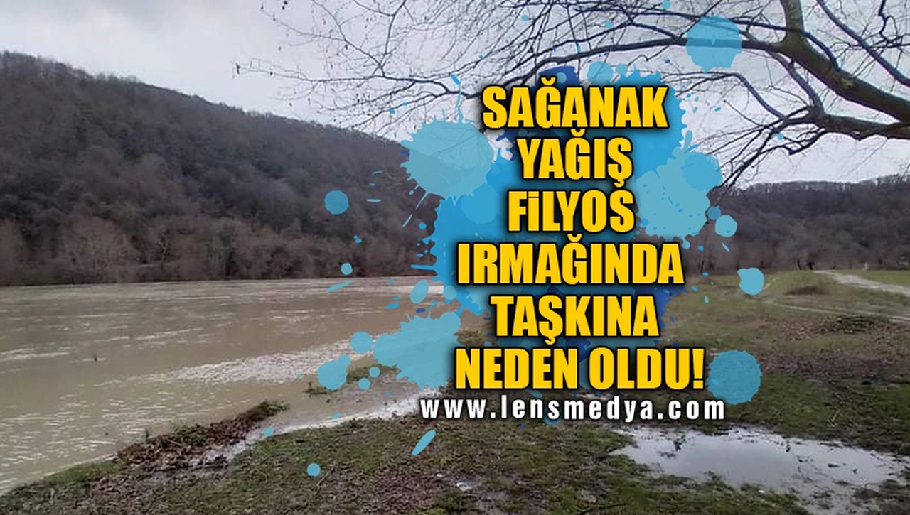 SAĞANAK YAĞIŞ FİLYOS IRMAĞINDA TAŞKINA NEDEN OLDU!