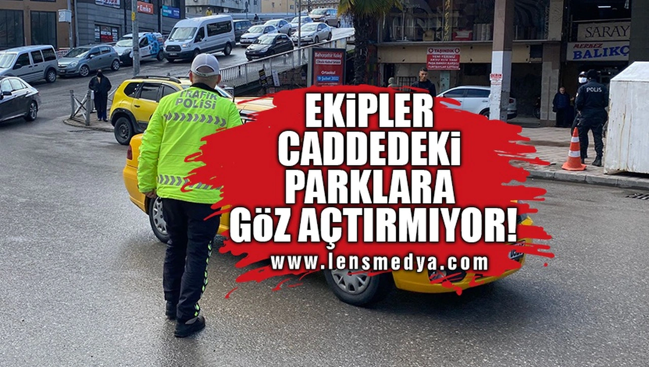 EKİPLER CADDEDEKİ PARKLARA GÖZ AÇTIRMIYOR!