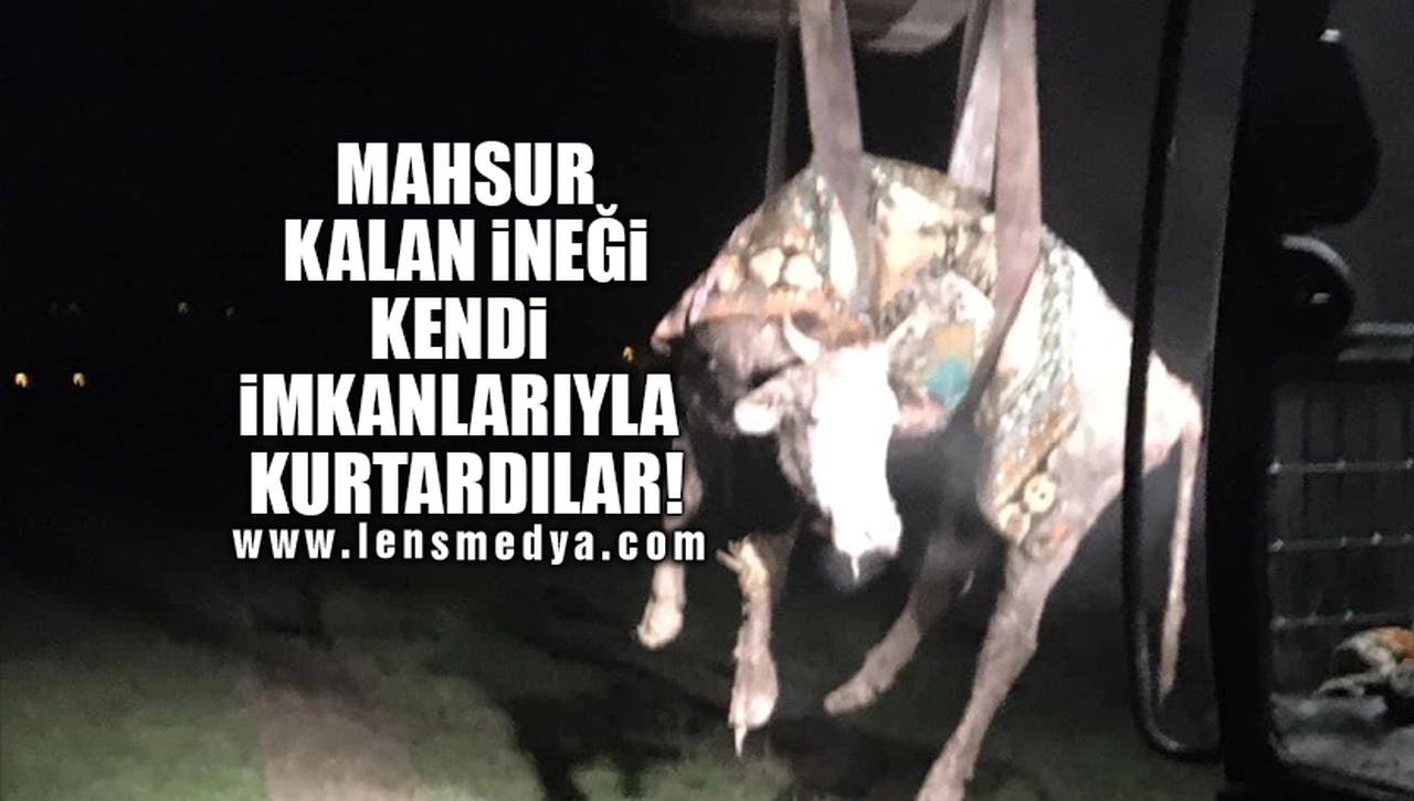 MAHSUR KALAN İNEĞİ KENDİ İMKANLARIYLA KURTARDILAR!