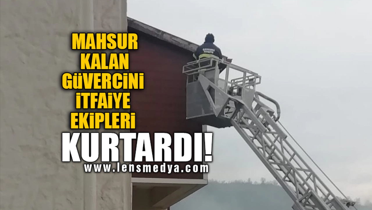 MAHSUR KALAN GÜVERCİNİ İTFAİYE EKİPLERİ KURTARDI!