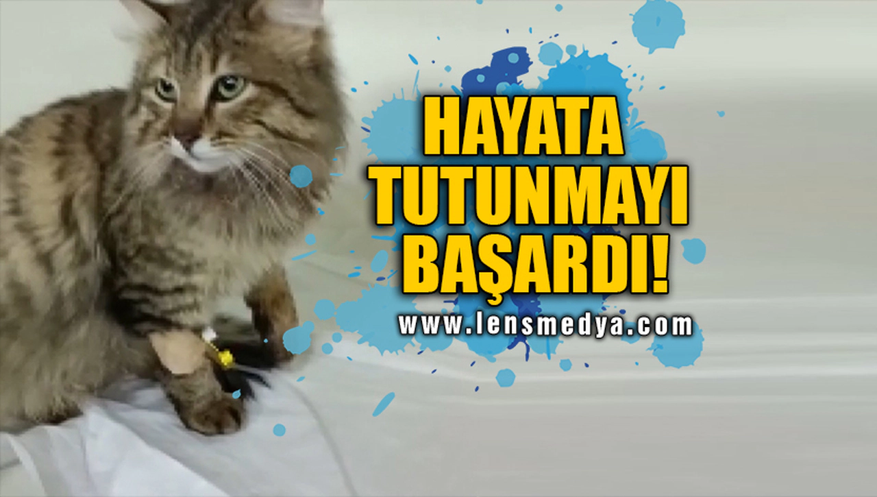 HAYATA TUTUNMAYI BAŞARDI!